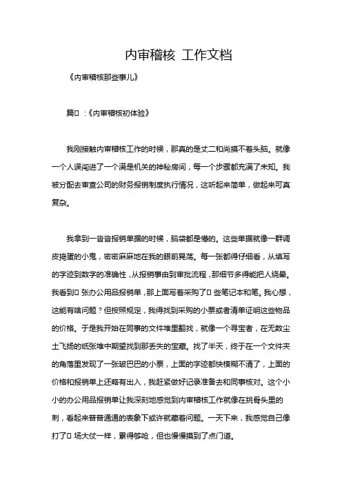 内审稽核 工作文档