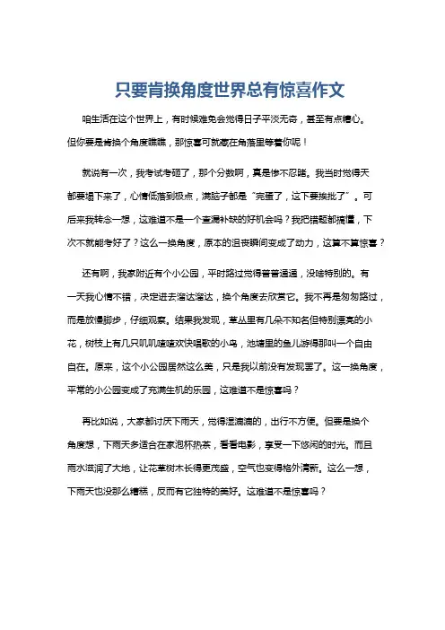 只要肯换角度世界总有惊喜作文
