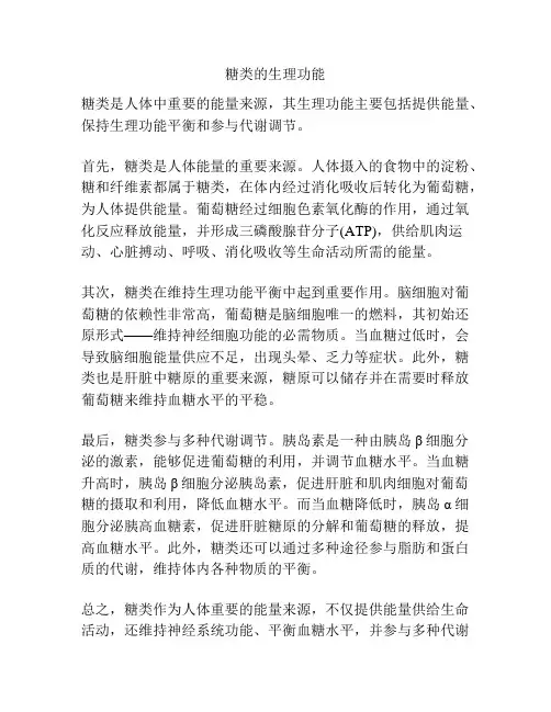 糖类的生理功能