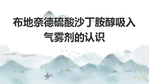 布地奈德硫酸沙丁胺醇吸入气雾剂的认识