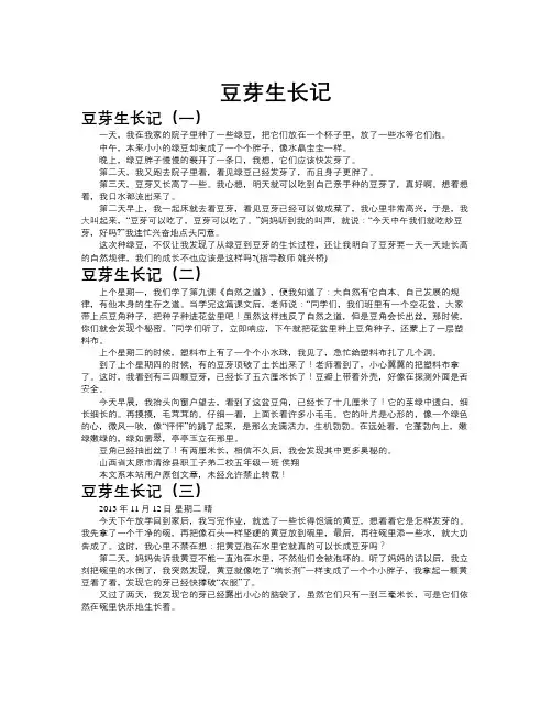 豆芽生长记作文共九篇