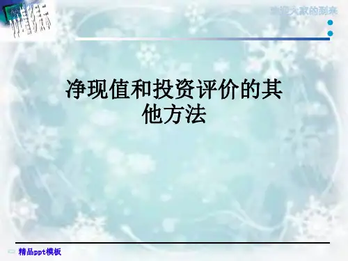 净现值和投资评价的其他方法