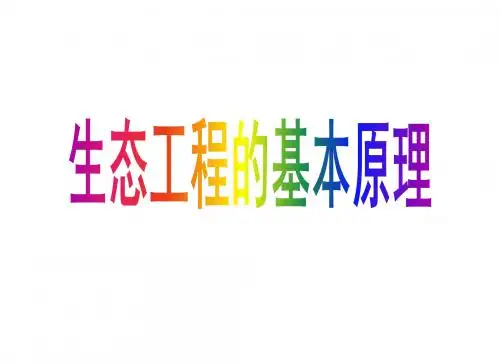 人教版高中生物选修三专题五第1节生态工程的基本原理  课件(共37张PPT)