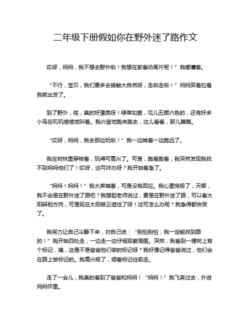 二年级下册假如你在野外迷了路作文