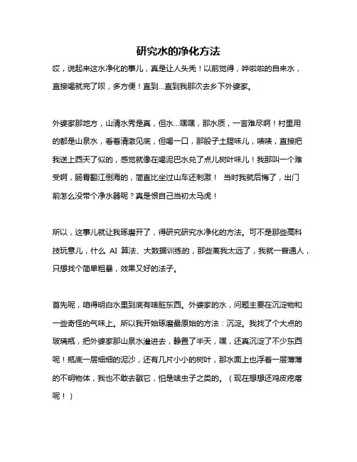 作文《研究水的净化方法》