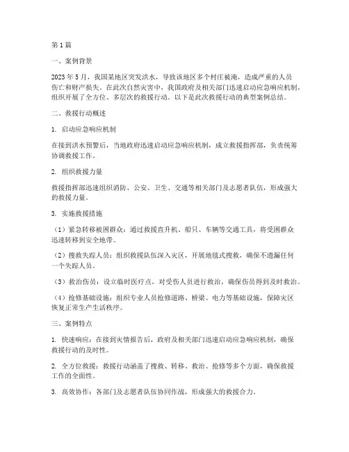 救援典型案例总结报告范文(3篇)