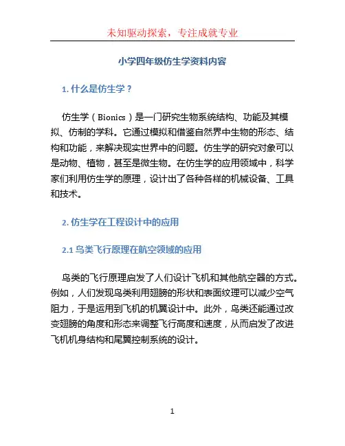 小学四年级仿生学资料内容