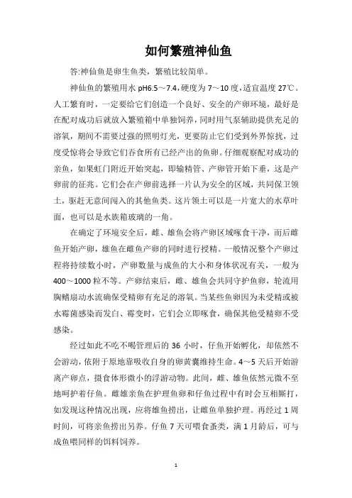 如何繁殖神仙鱼