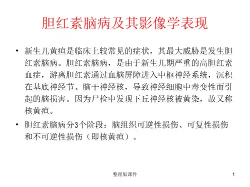 胆红素脑病ppt课件