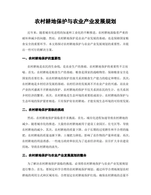 农村耕地保护与农业产业发展规划
