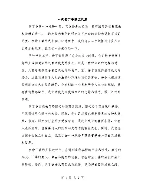 一株紫丁香课文反思