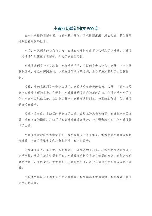 小豌豆历险记作文500字