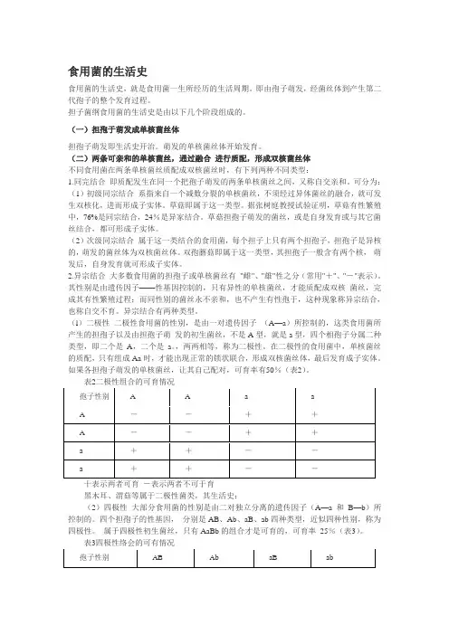 食用菌生活史
