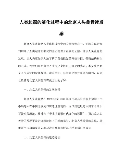 人类起源的演化过程中的北京人头盖骨读后感