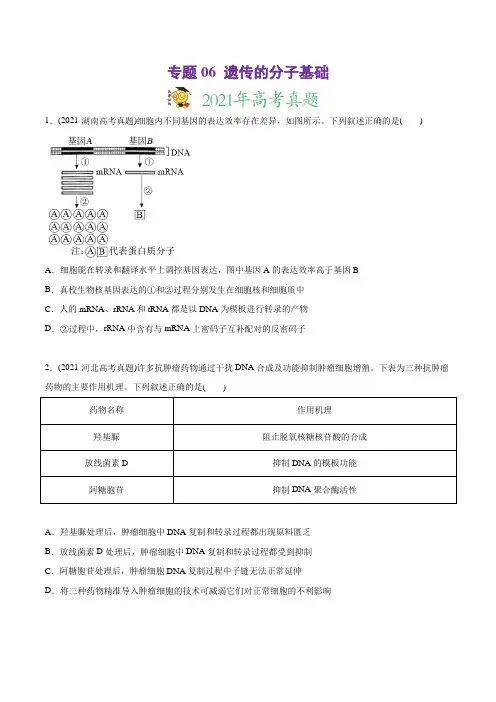 高中生物高考专题06 遗传的分子基础-2021年高考生物真题与模拟题分类训练(学生版)