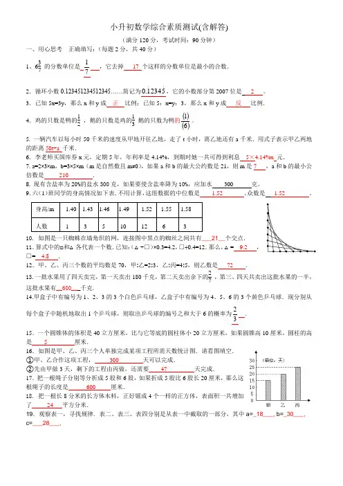 小升初数学综合素质测试(含解答)