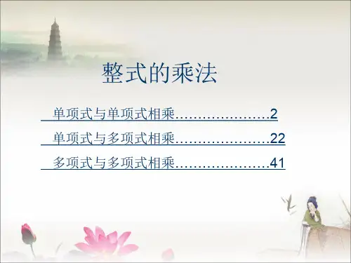 整式的乘法 (2)