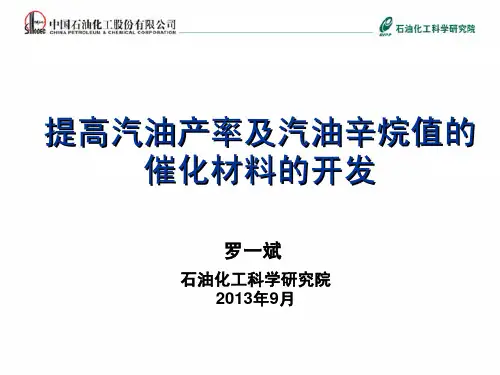 海川化工论坛-提高汽油产率和辛烷值的催化材料的开发(罗一斌)