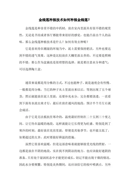 金线莲种植技术 如何种植金线莲？