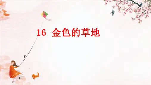 16.《金色的草地》课件(共18张PPT).ppt