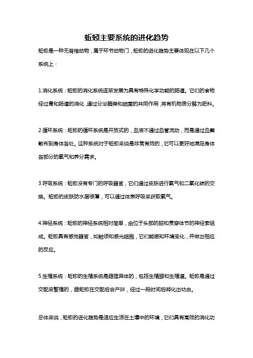 蚯蚓主要系统的进化趋势