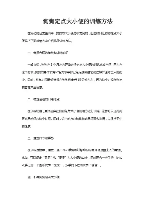 狗狗定点大小便的训练方法