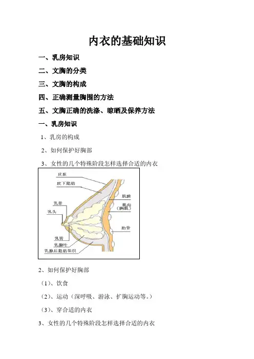 内衣的基础知识