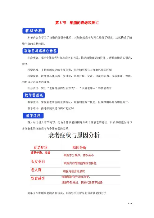 2021_2022学年新教材高中生物第六章细胞的生命历程第三节细胞的衰老和死亡教案新人教版必修第一册