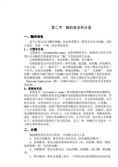 酶的命名和分类