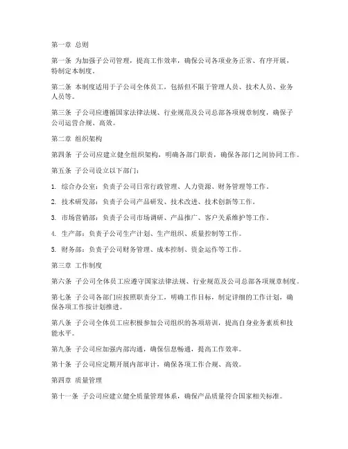 子公司标准化管理制度范本