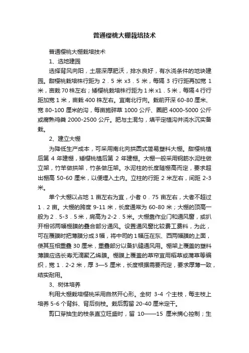 普通樱桃大棚栽培技术