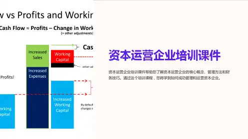 资本运营企业培训课件