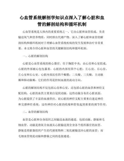 心血管系统解剖学知识点深入了解心脏和血管的解剖结构和循环机制