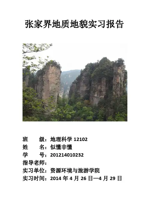 张家界地质地貌实习报告