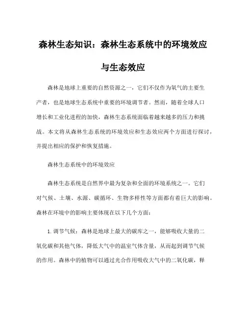 森林生态知识：森林生态系统中的环境效应与生态效应