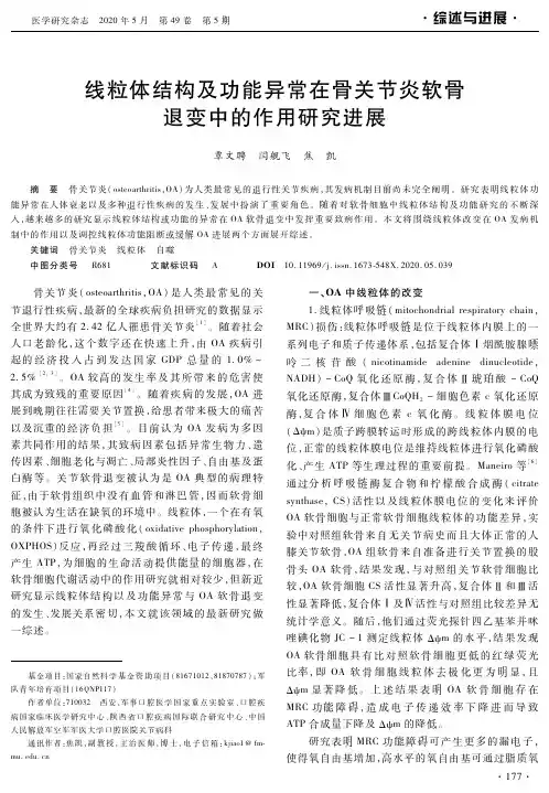 线粒体结构及功能异常在骨关节炎软骨退变中的作用研究进展