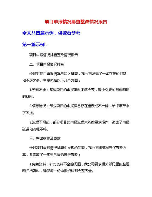 项目申报情况排查整改情况报告