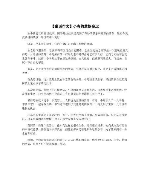 【童话作文】小鸟的悲惨命运