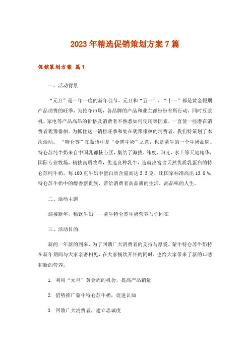 2023年精选促销策划方案7篇