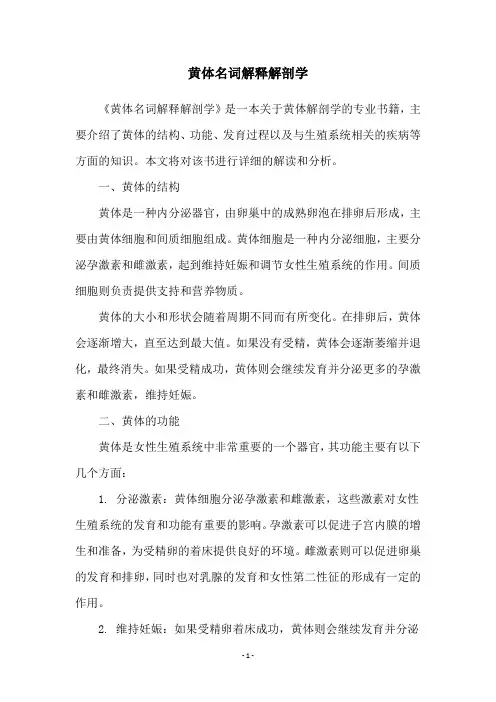 黄体名词解释解剖学
