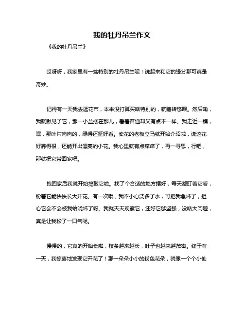 我的牡丹吊兰作文