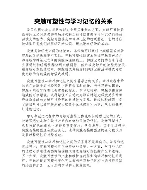 突触可塑性与学习记忆的关系