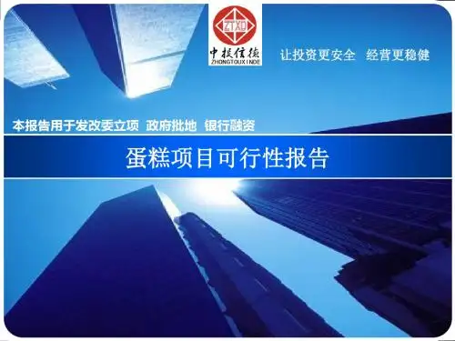 蛋糕项目可行性报告ppt.ppt