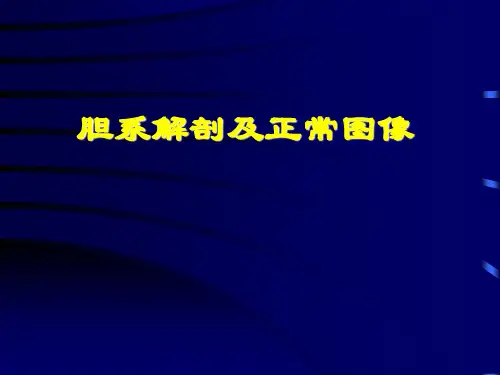 胆囊超声诊断学PPT文档