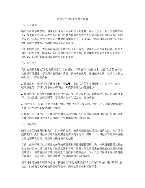 创青春创业大赛获奖计划书