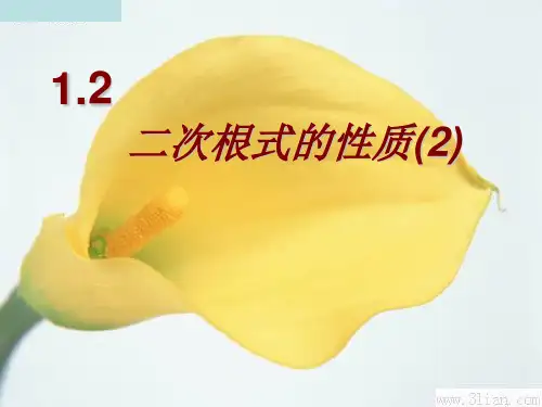 新浙教版八年级数学下册第一章《二次根式性质1 》公开课课件