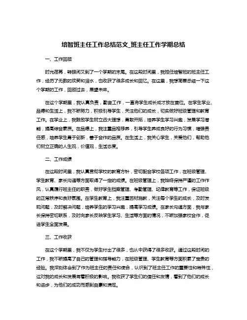 培智班主任工作总结范文_班主任工作学期总结