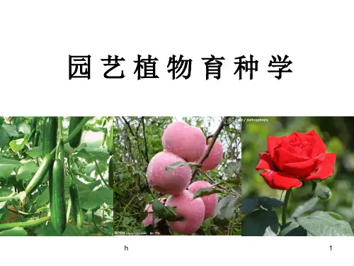 《园艺植物育种学》PPT课件