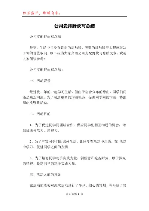 公司安排野炊写总结