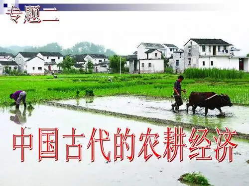 历史必修二第一单元复习